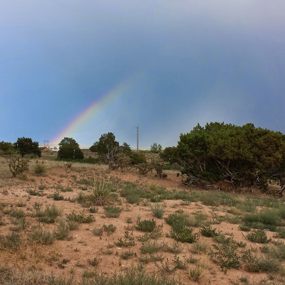 Meet your Posher, Susan - Picture 1 of 1